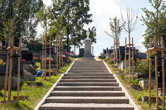 RECONSTRUCTION of pavements in the cemetery