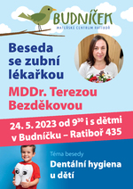  Discussion with dentist Tereza Bezděková, MDDr.