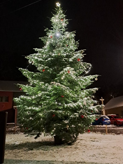 Fotografie z rozsvěcování vánočního stromu, 3. 12. 2023