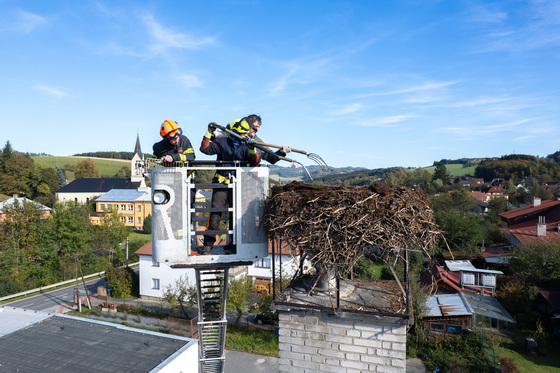 Lowering and cleaning the stork nest