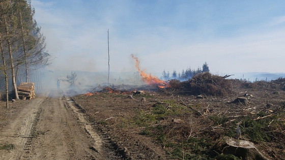 Ten firefighting units dealt with a forest fire in Ratiboř