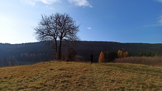 Autumn run in Ratiboř 7. 11. 2021